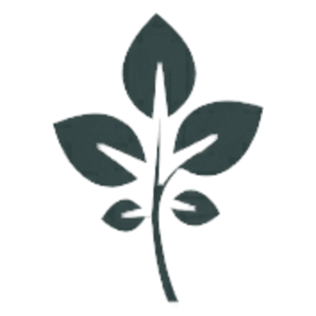 GrapeVine Social logo