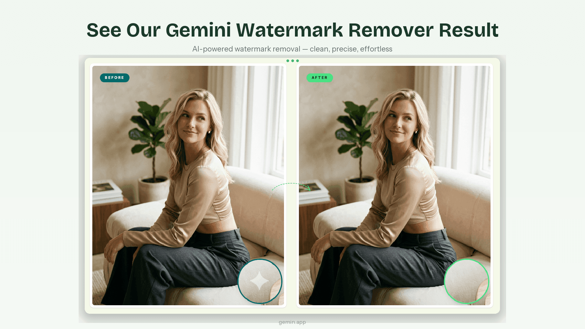 Gemini Watermark Remover - Product Image