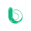 BigKr logo