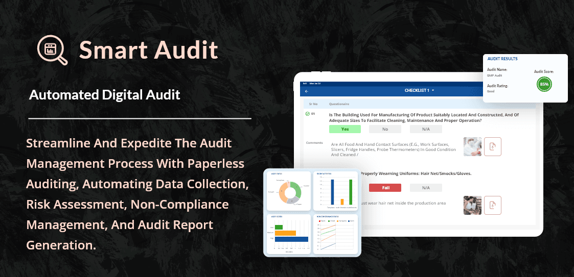 Smart Audit - Product Image