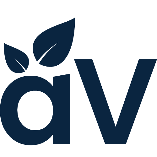 aVenture logo