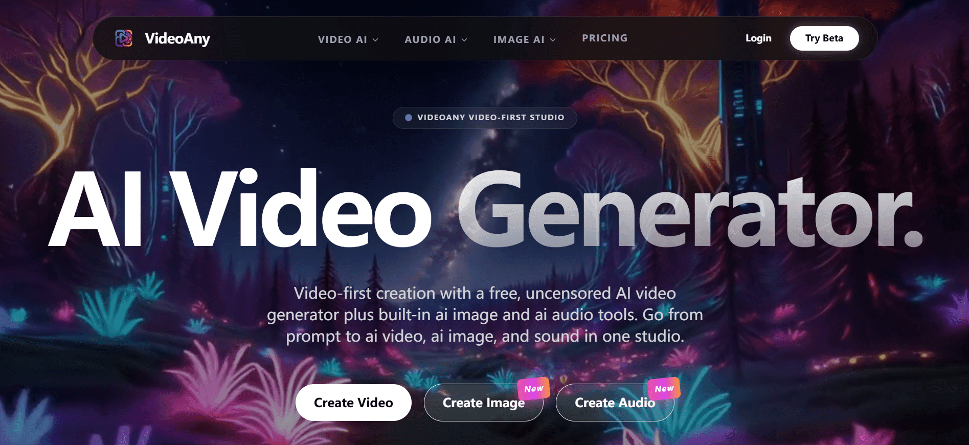 VideoAny - Product Image