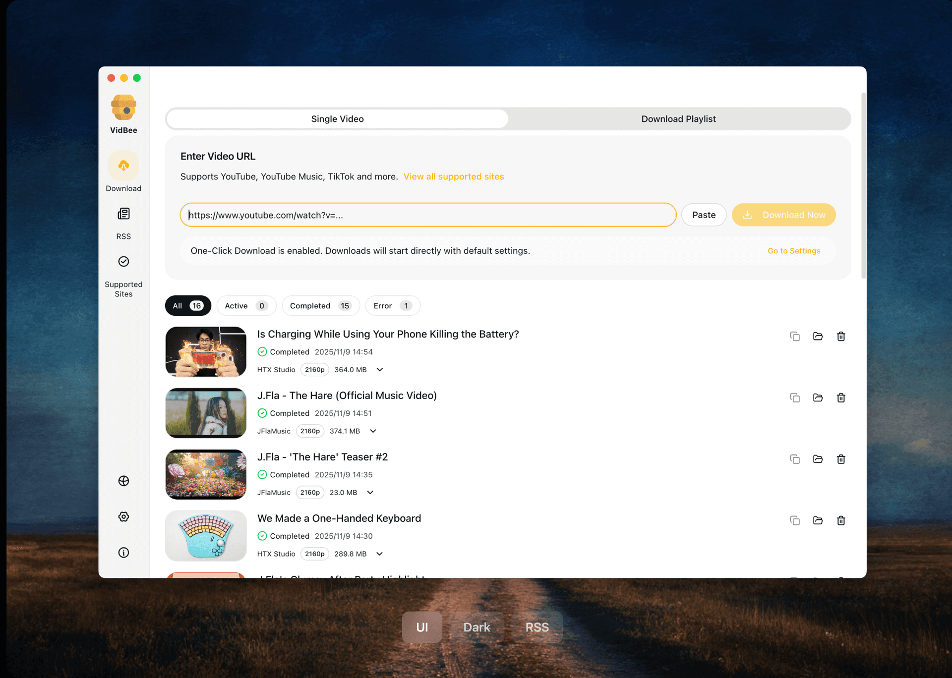 VidBee - Product Image