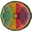 AISA Certification logo