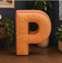 Placy AR App  Logo