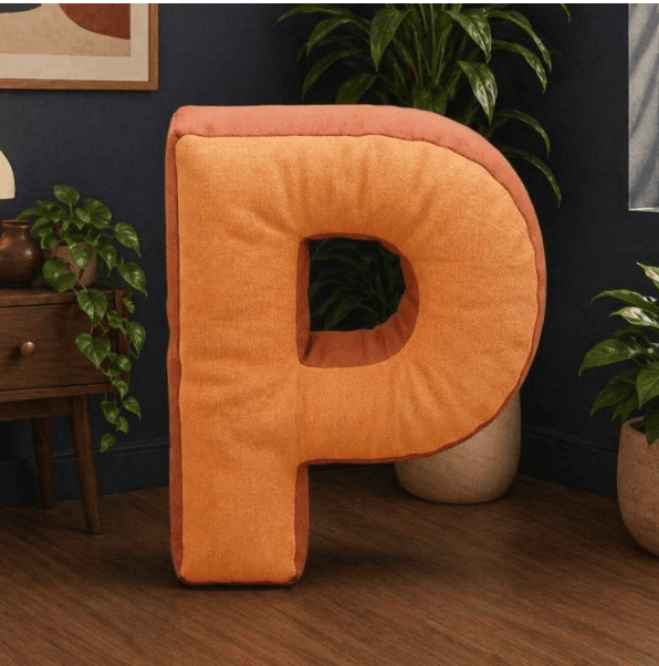 Placy AR App  logo