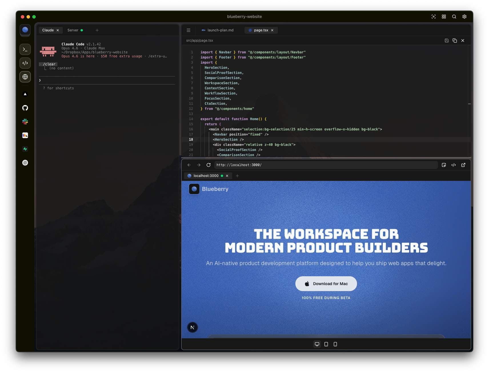 Blueberry - Product Image